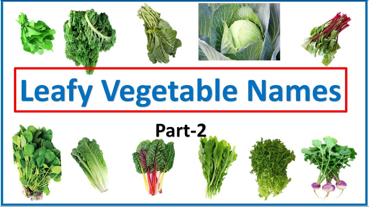 learn leafy vegetables | leafy vegetables for life | basic leafy vegetables | #leafy# | #EToddlers