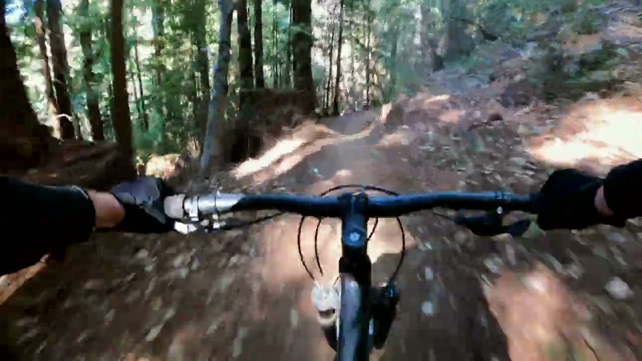 El Corte De Madera Creek Preserve (Skeggs) | Oljon, Blue Blossom, Timberview Trails