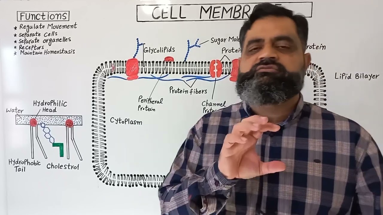 Cell Membrane English medium @prof.masoodfuzail