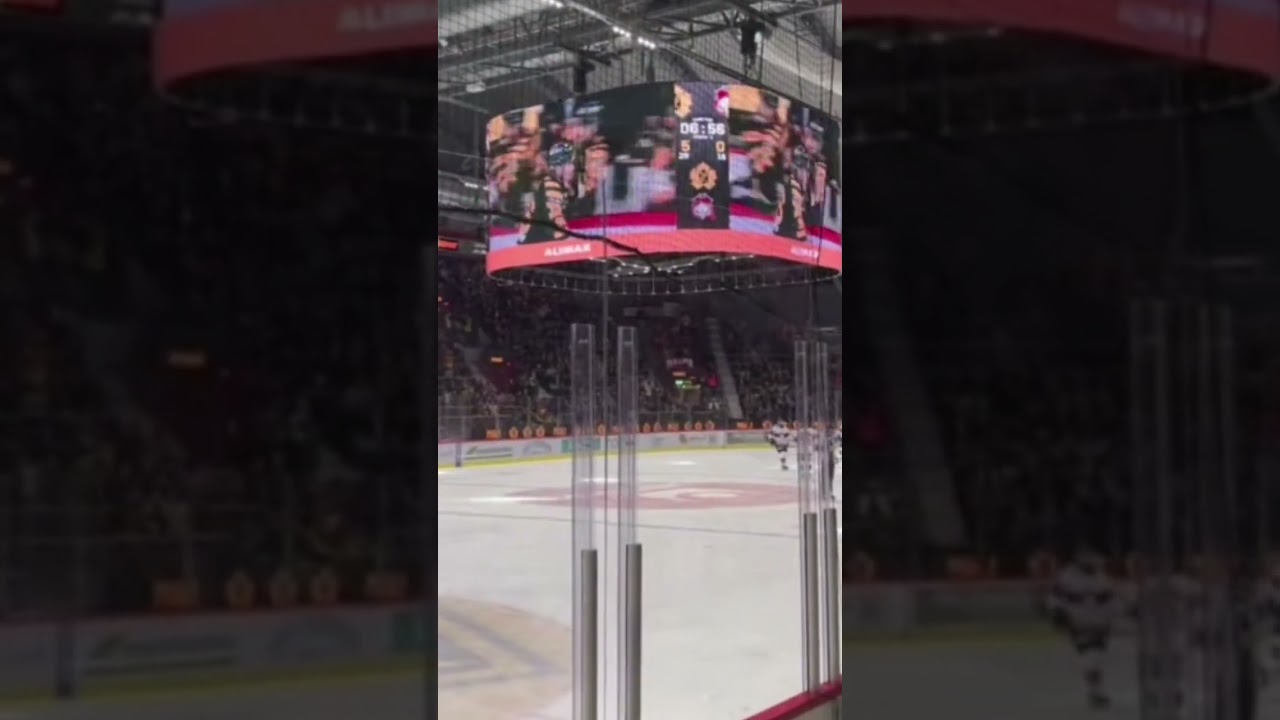 Söndagsåkande Skellefteå AIK leker med ett krigande Malmö Redhawks i SHL i Sverige (
