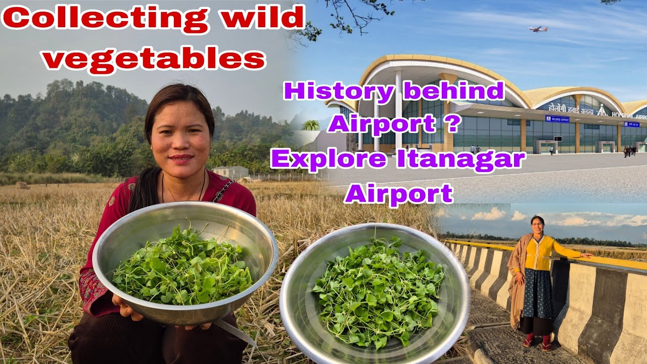 Exploring village  and airport //collecting vegetables//#villagerexplorevl9gs