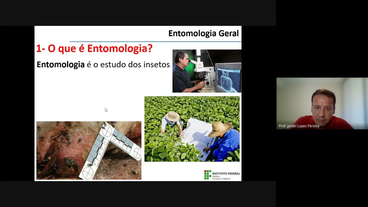 Entomologia Geral  -  Aula 02 - Origem e Evolução dos Insetos