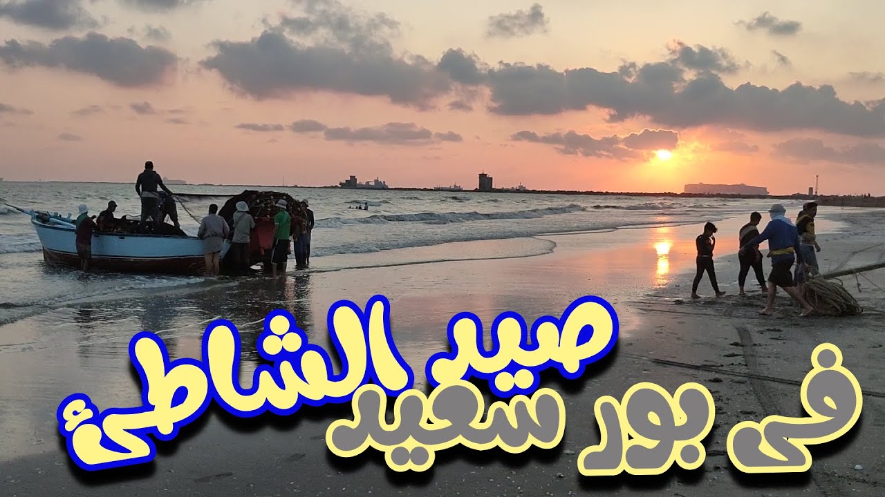 بور سعيد ا سر وجود الصدف والقواقع على شاطئ بور سعيد