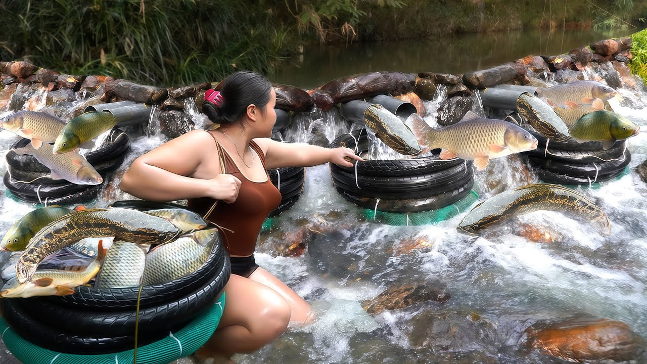 By making her own fish trap from old tires in the stream, the girl caught a school of fat carp.