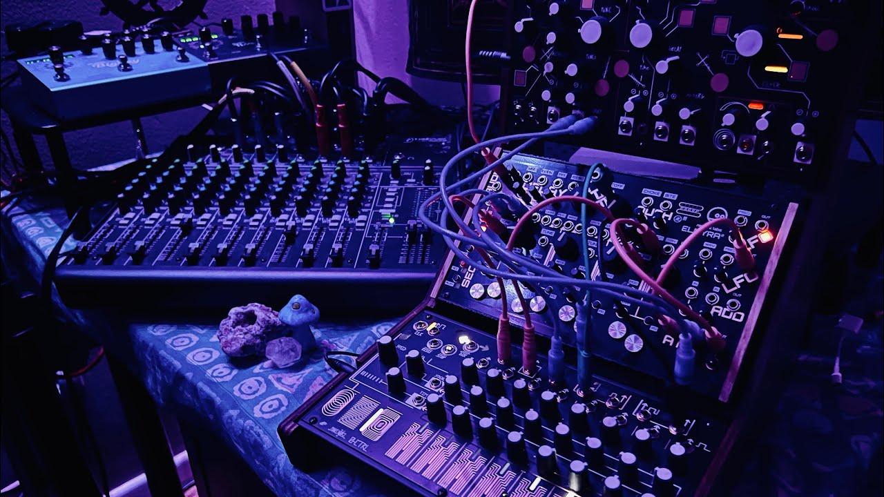 Organism _ Begin /// Neutral Labs Elmyra 2 and Make Noise Strega, 0-CTRL, Big Sky