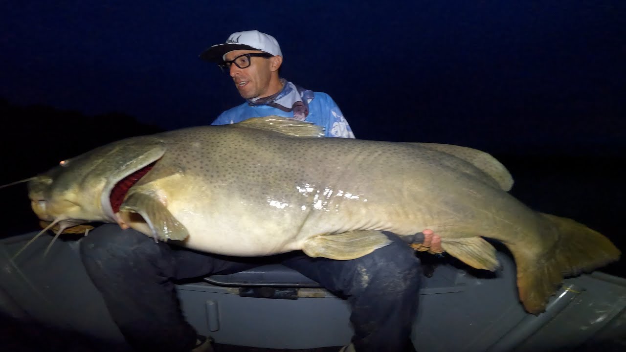 RIO TELES PIRES - A CASA DOS MONSTROS GIGANTES JAUS PIRARARAS PIRAIBAS NA OP DONA ESTER FISHING TRIP