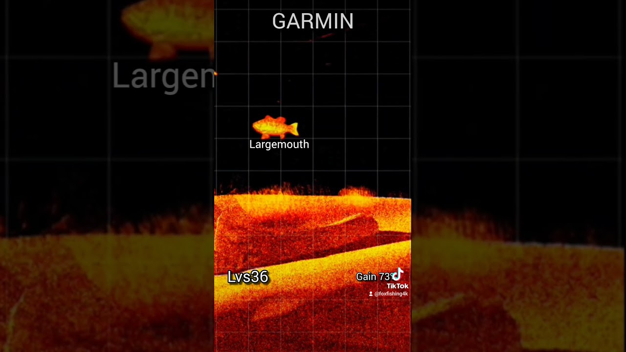 NOWY Garmin Livescope LVS36 PLUS! #wędkarstwo #garmin #livescope