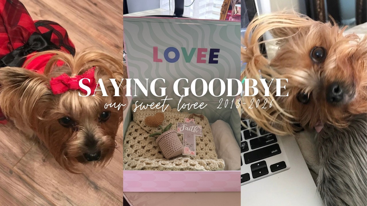 SAYING GOODBYE TO OUR SWEET YORKIE LOVEE | THANK YOU FOR THE LOVE & SUPPORT