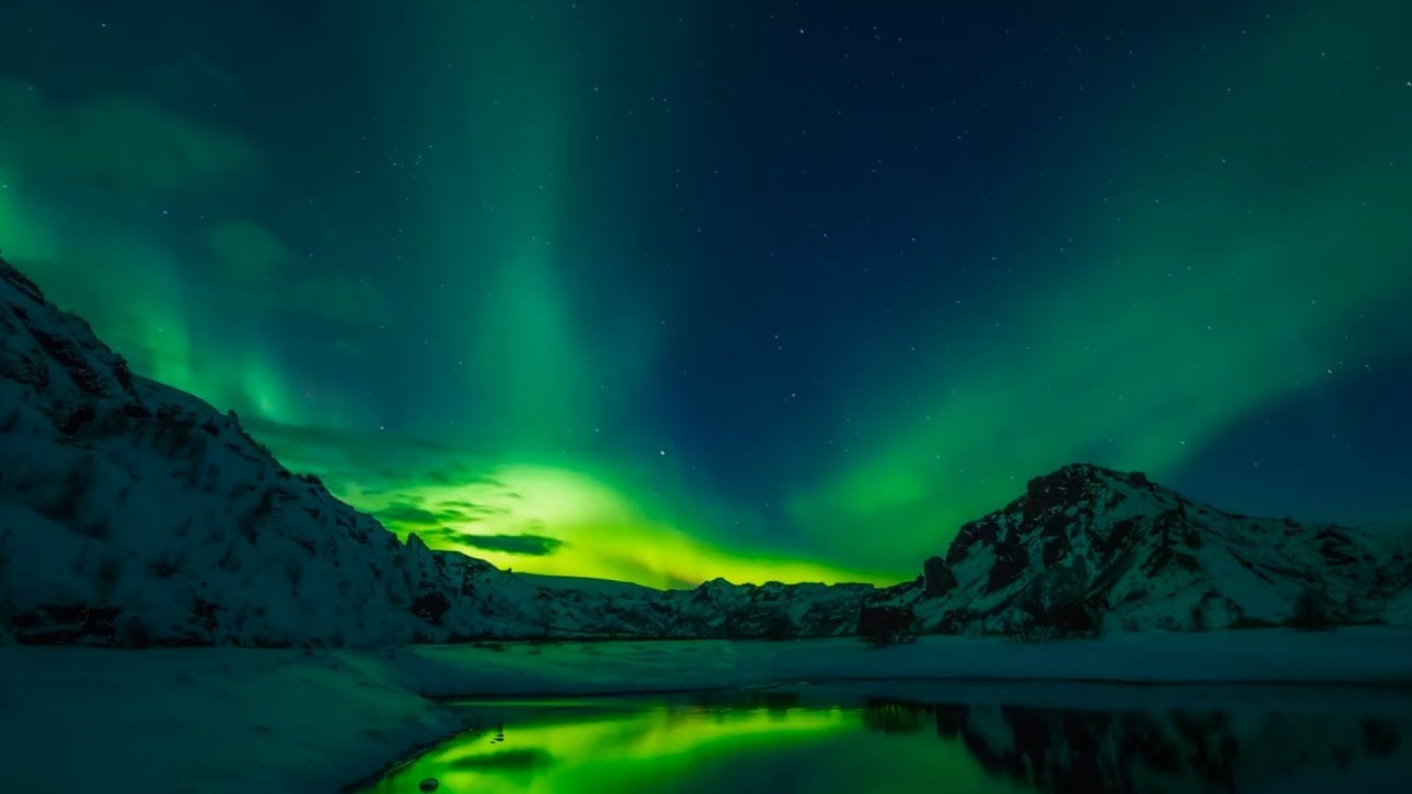 Amazing Piano,Guitar,Birds & Insects Sounds Relax Music By Zargar Relaxing Music