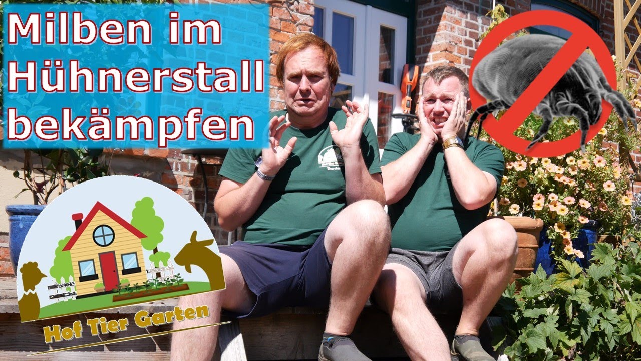 Milben im Hühnerstall ☣️🦠☣️ - Jetzt hat's auch uns erwischt 😱