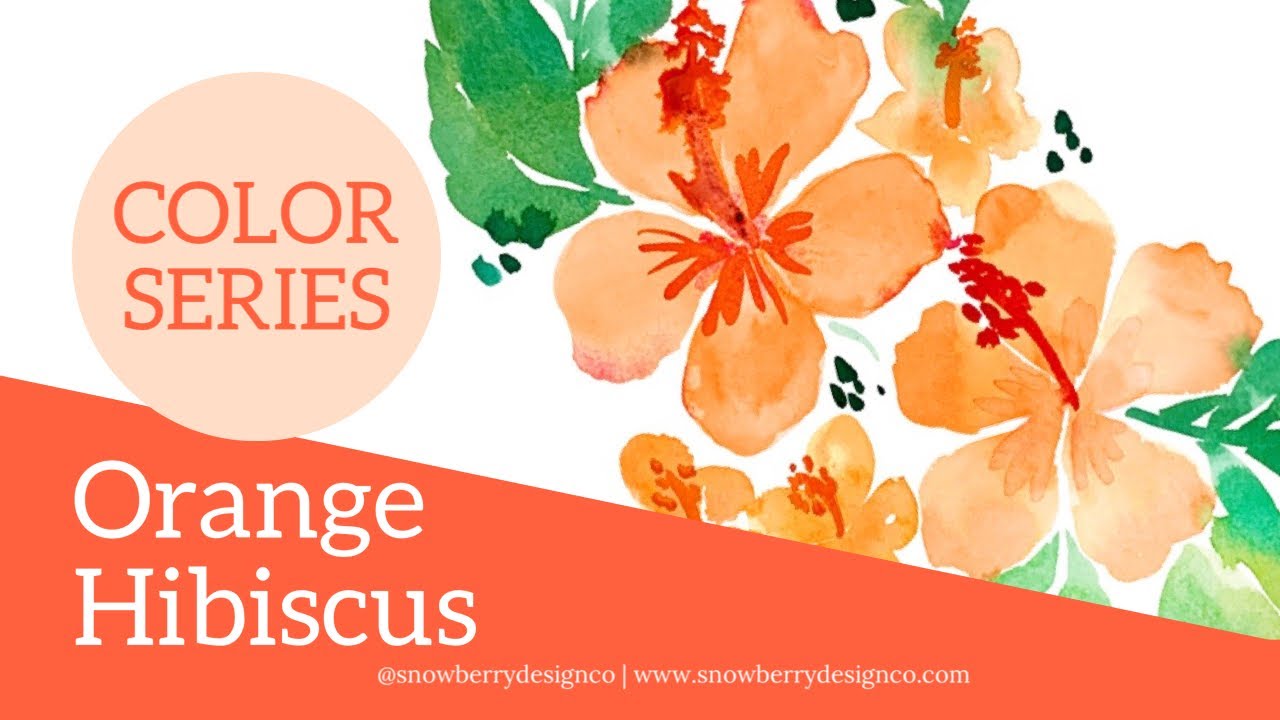 How to Paint Easy Watercolor Hibiscus Flowers | #PaintingForBeginners