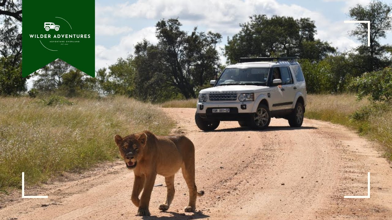 ‘n Winter-vakansie in die Kruger Nasionale Park | Kruger National Prk