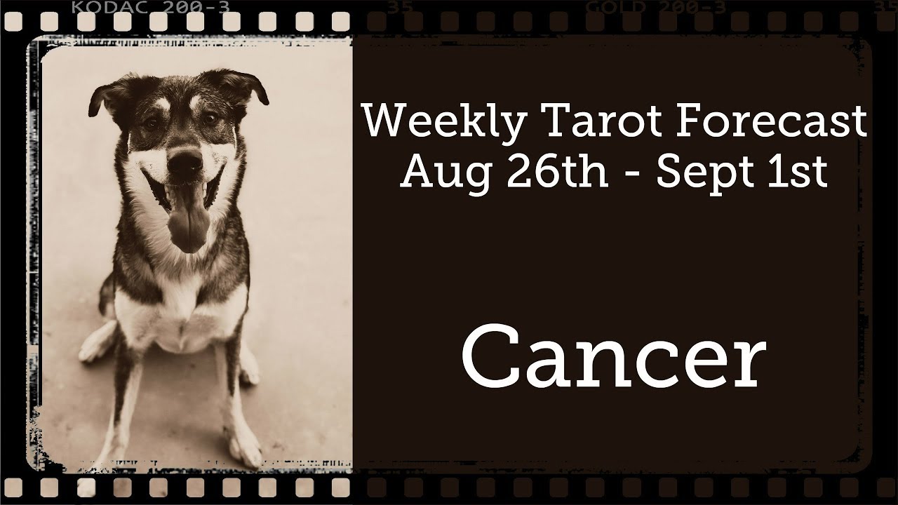 Cancer ~ Trust your path, the angels are with you! ~ Weekly Tarotscope Aug 26th - Sept 1st