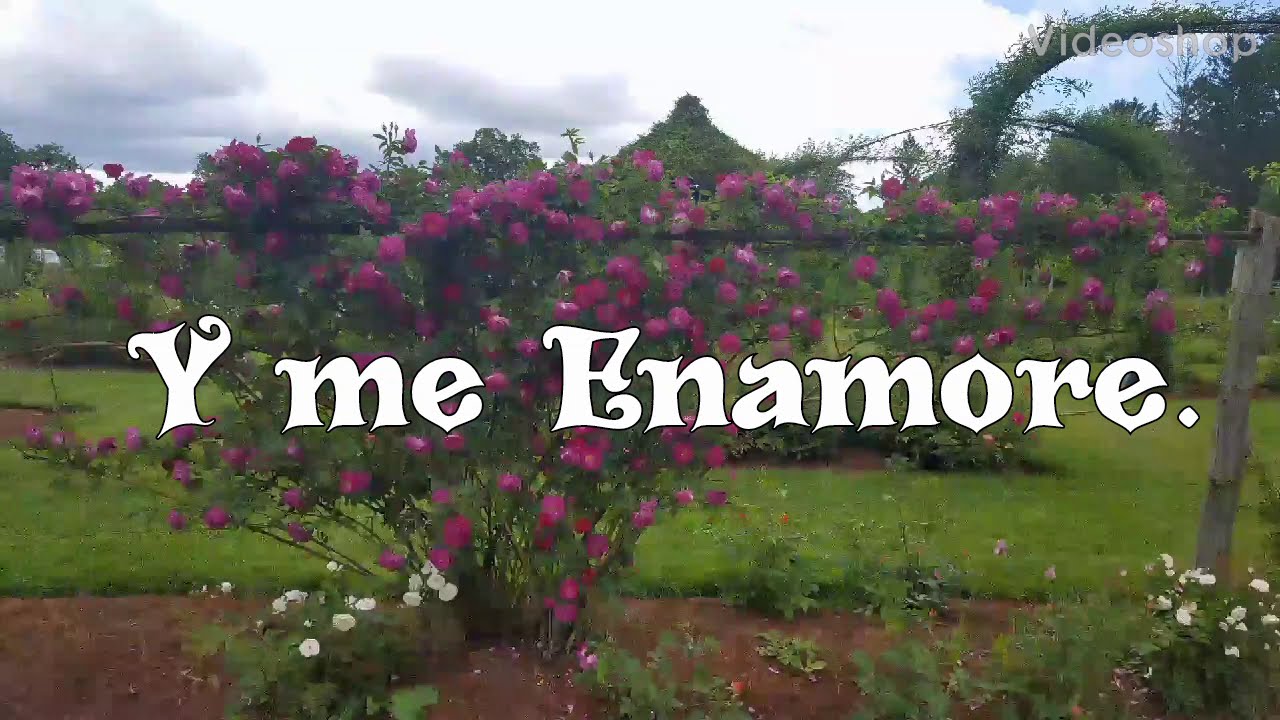 Grupo Romance 4 canciones para enamorar