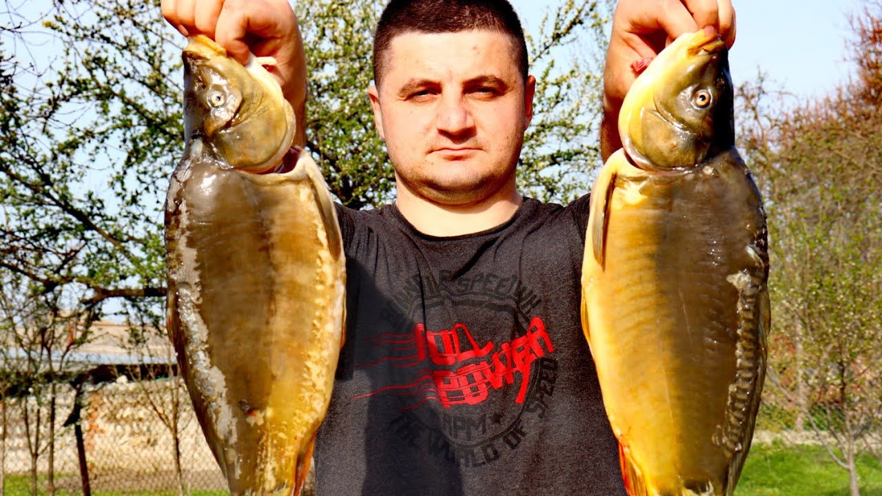 ШАШЛЫК ИЗ РЫБЫ. КАРП НА МАНГАЛЕ!