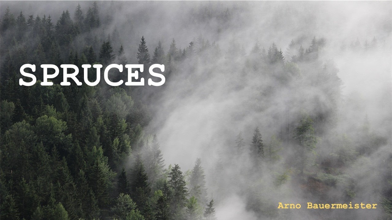 SPRUCES | Cinematic Ambient | Modal Cobalt8, ASM Hydrasynth