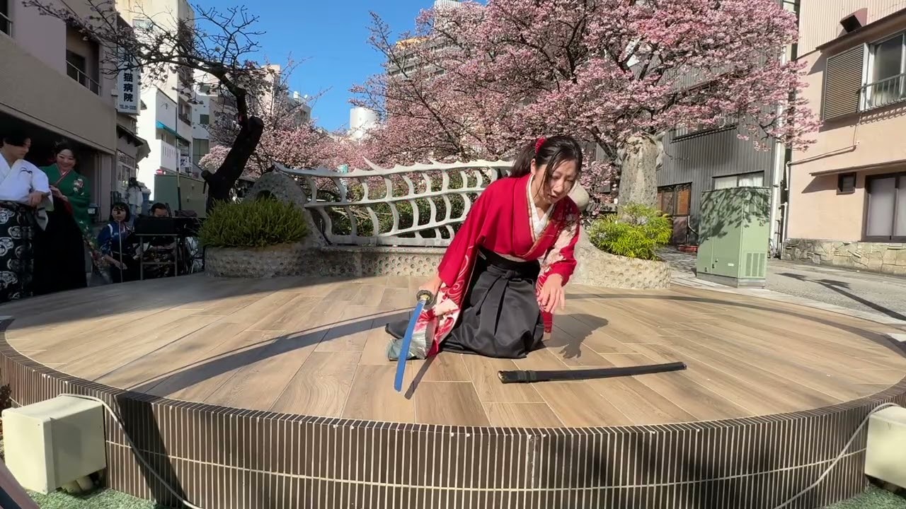 2026-1-17 熱海桜まつり①