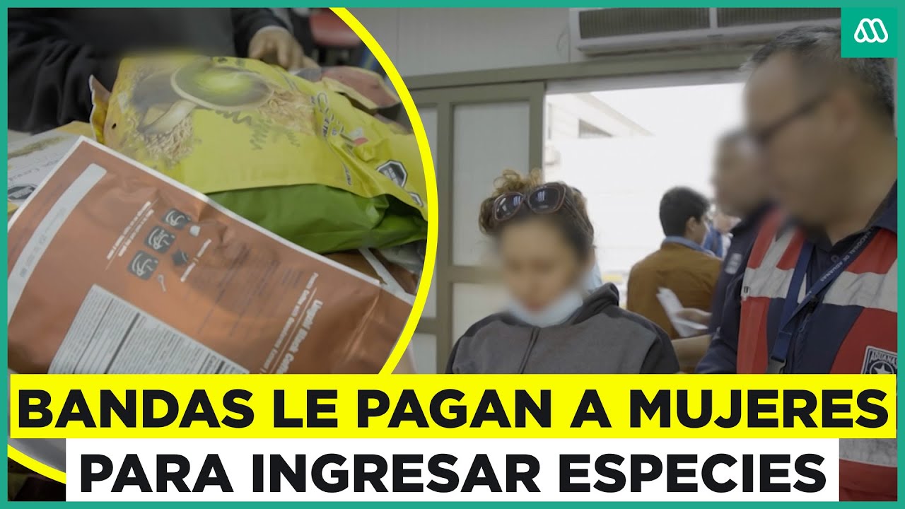Testigos en la frontera | Matuteras peruanas se enfrentan a la autoridad para ingresar especies