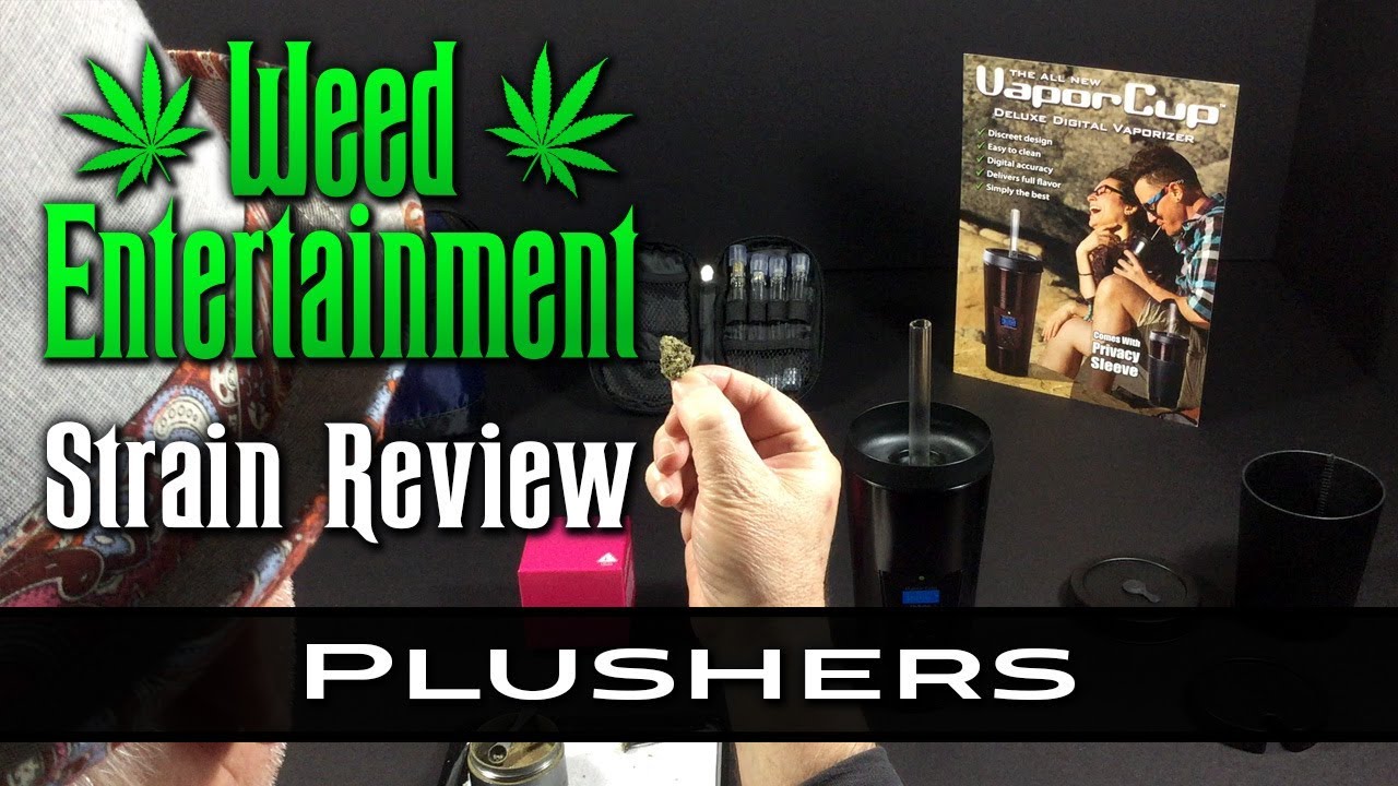 Plushers - Indica - by Big Al's / Gas House  - Strain Review - from Dr Greenthumb's, Sylmar, Ca