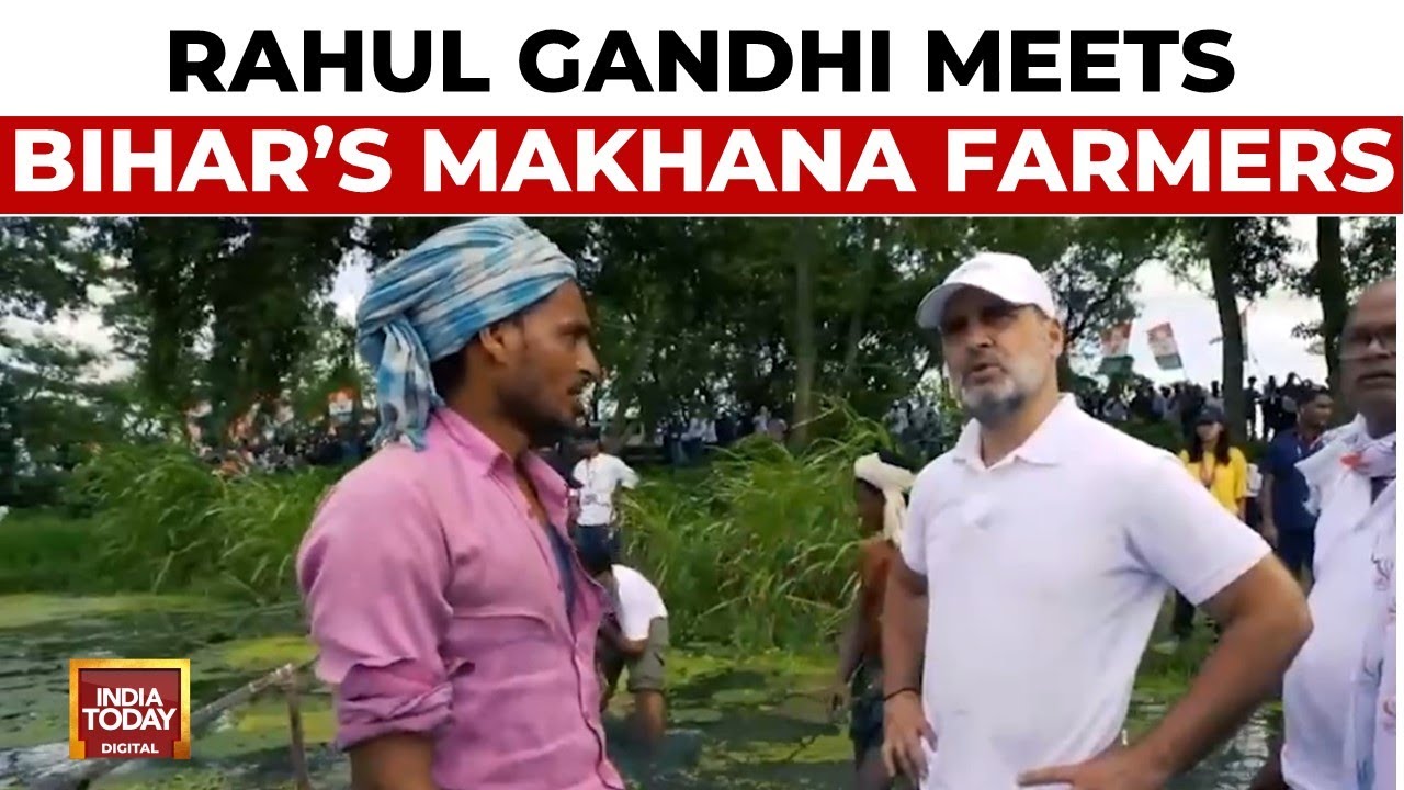 Rahul Gandhi Meets Makhana Farmers in Bihar, Hears the Ordeal of Farmers, Assures Help | India Today