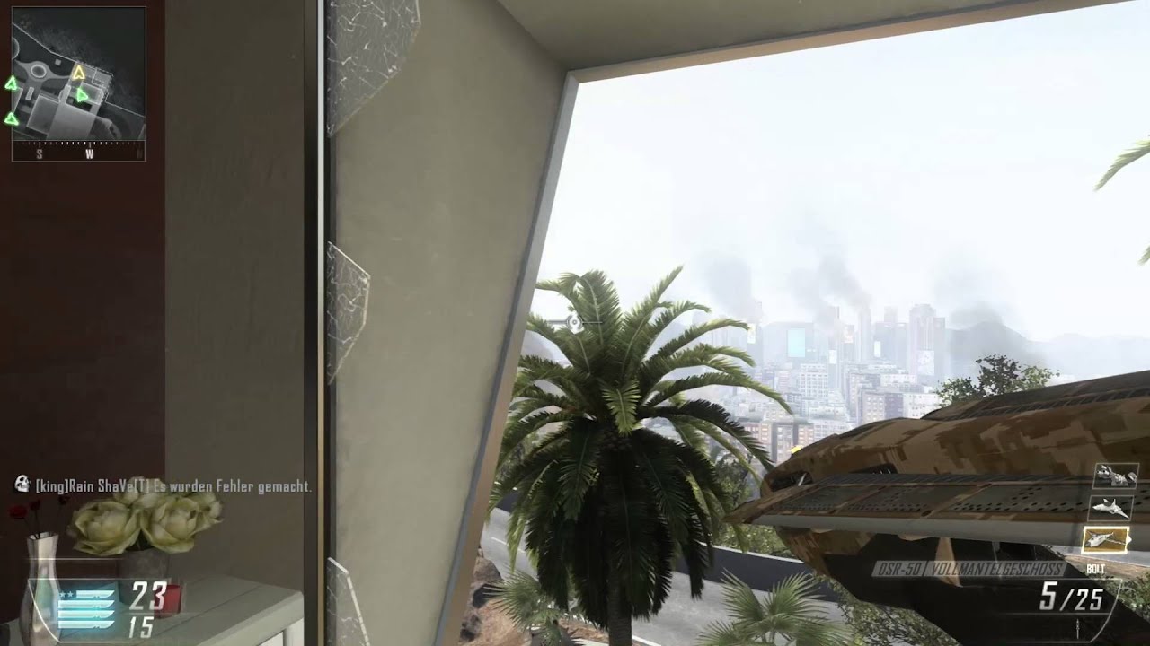 Sick hit in Bo2... (Privat)