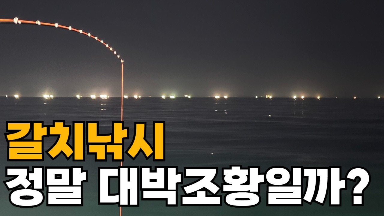 올해 갈치낚시가 대박이라고요? (풍요 속 빈곤)