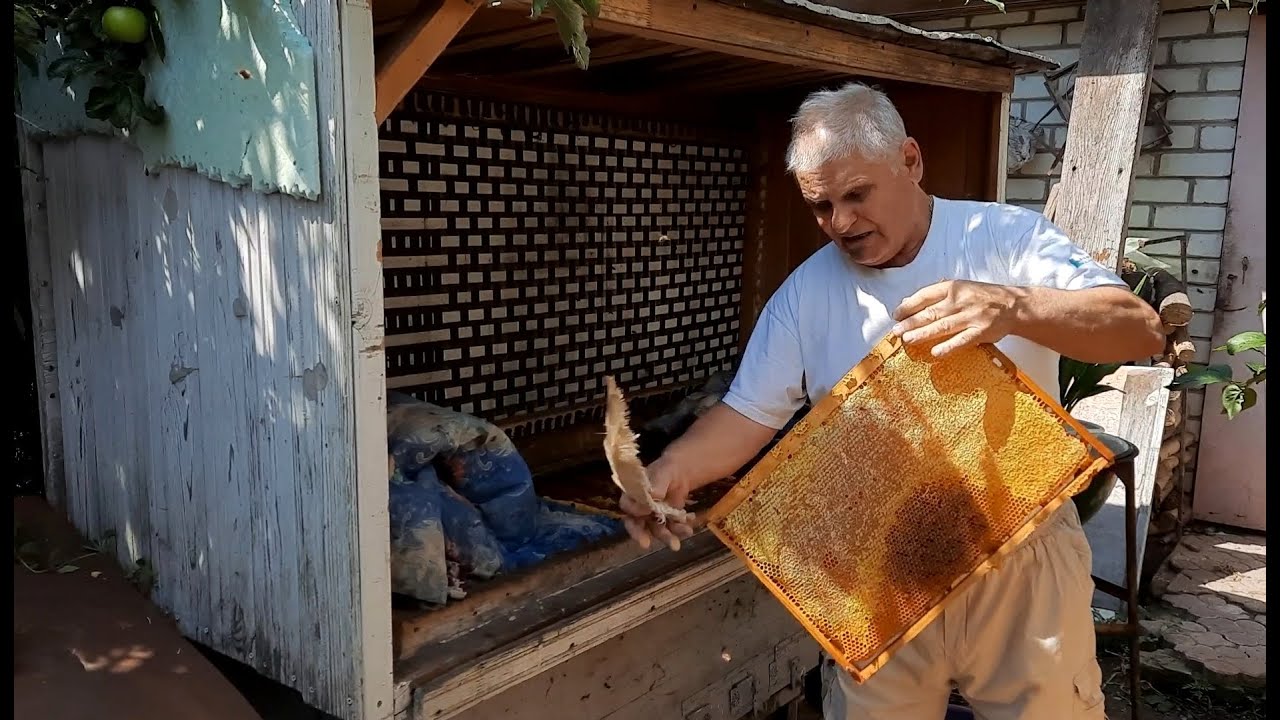 Отбор медовых рамок из улья для получения товарного меда