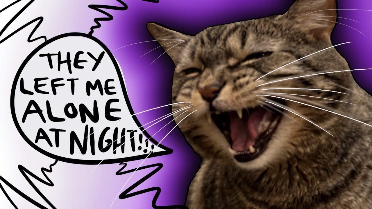 Will Penny make it 4 hours at night without a babysitter?!