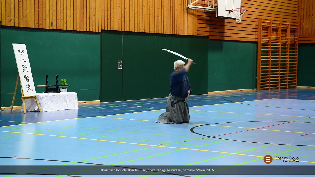 Ryushin Shouchi Ryu Iaijutsu, YAHAGI Soke, 2016 Seminar Wien, Österreich