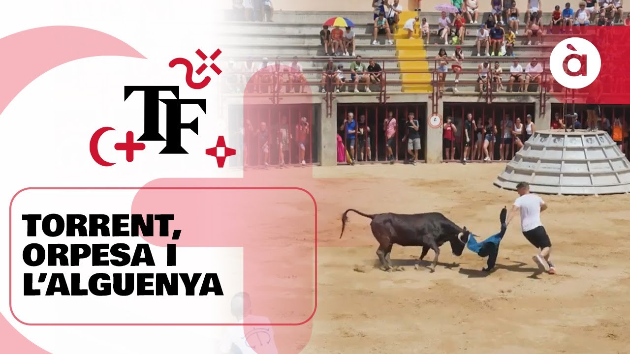 🎆 Terra de Festes | Torrent, Orpesa i l'Alguenya | PROGRAMA COMPLET