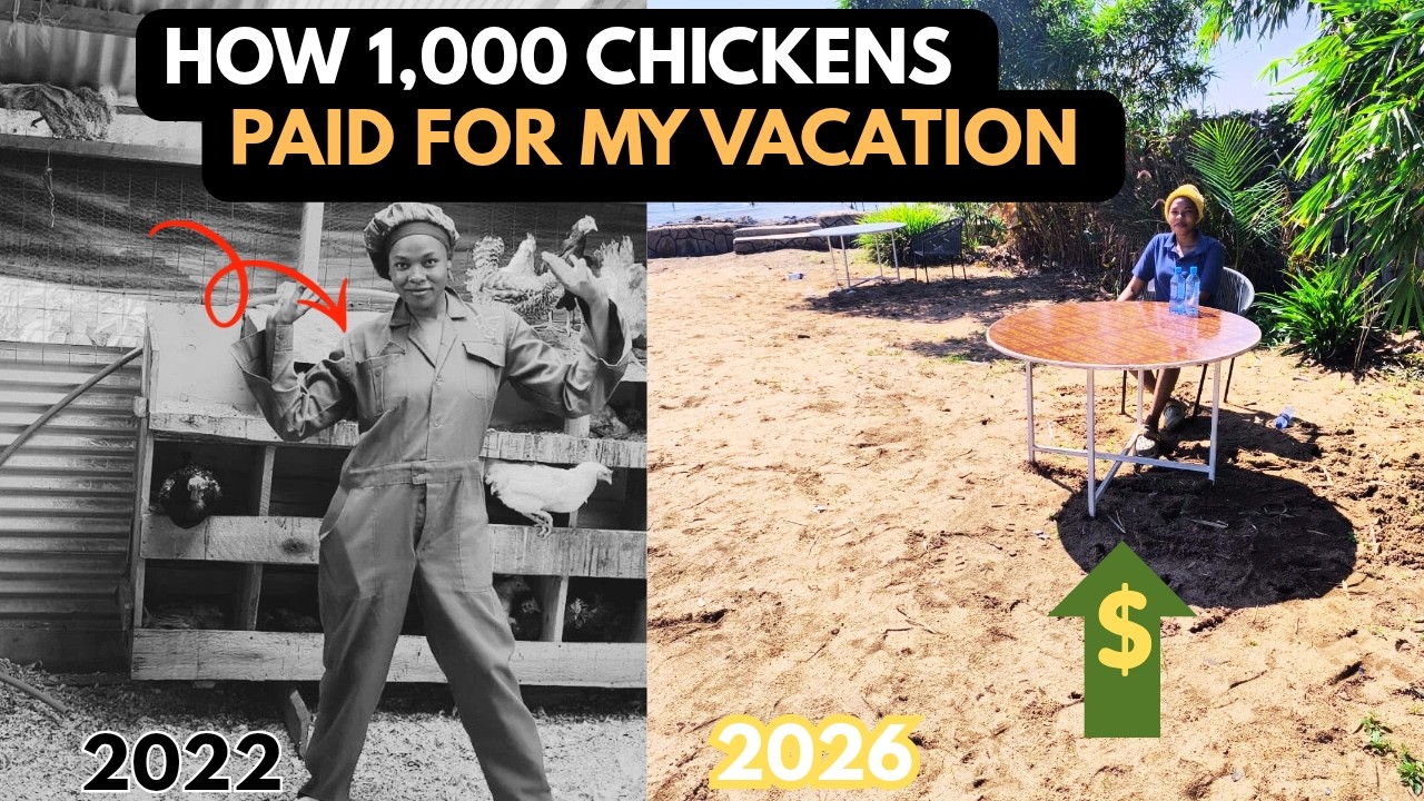 Как 1000 кур оплатили мой отпуск | Прибыльный бизнес-план по птицеводству до 2026 года