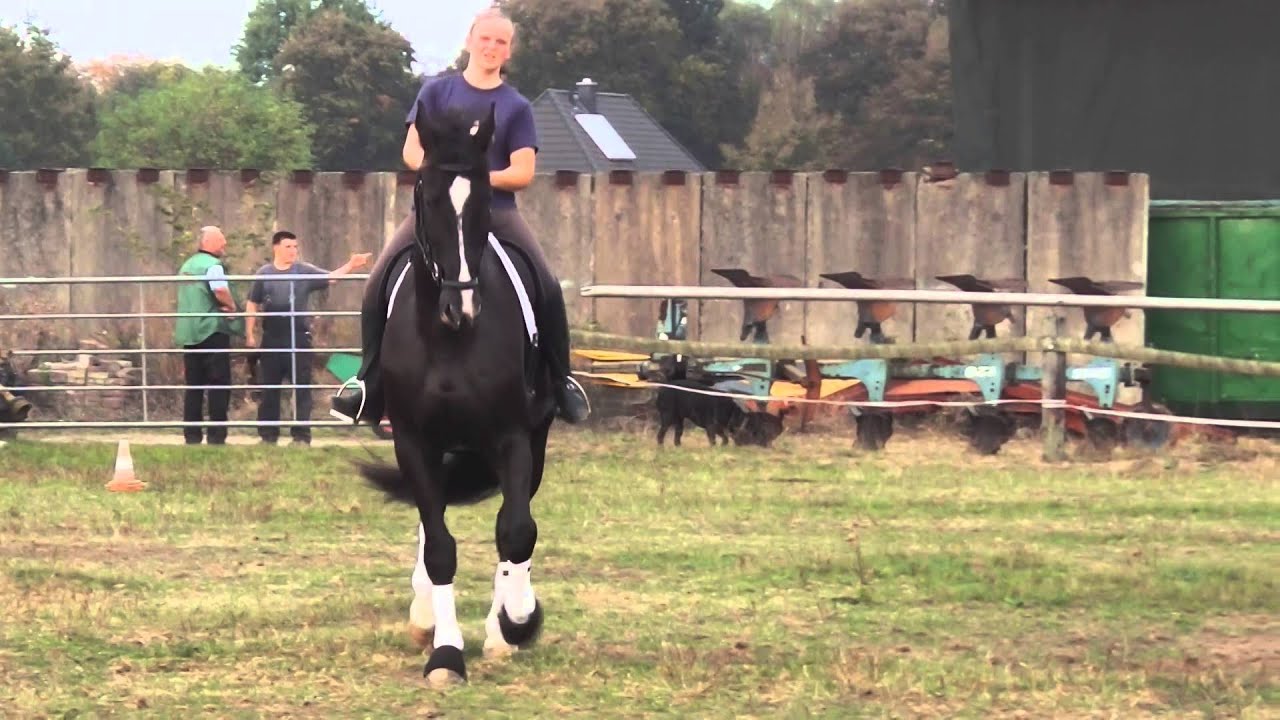 Heiner Trab-Traversale links