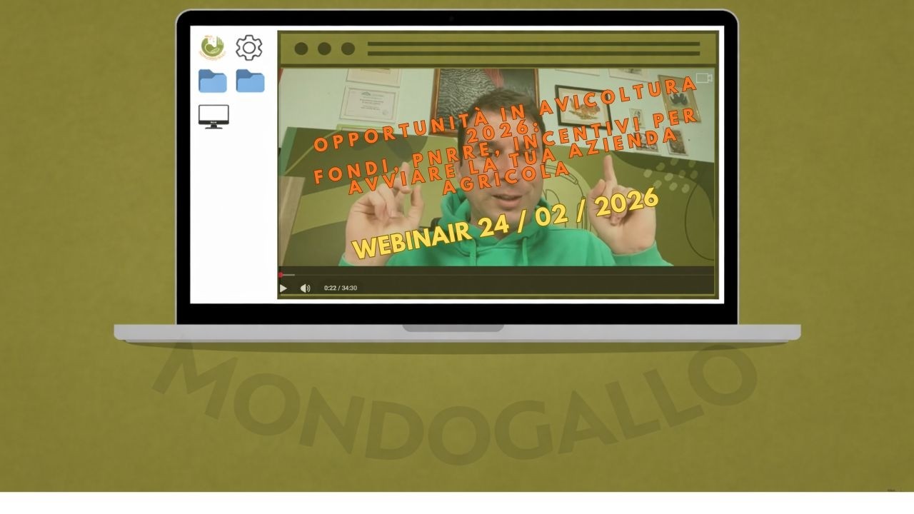 Opportunit&agrave; in Avicoltura 2026 | Webinar Mondo Gallo 24/02/2026