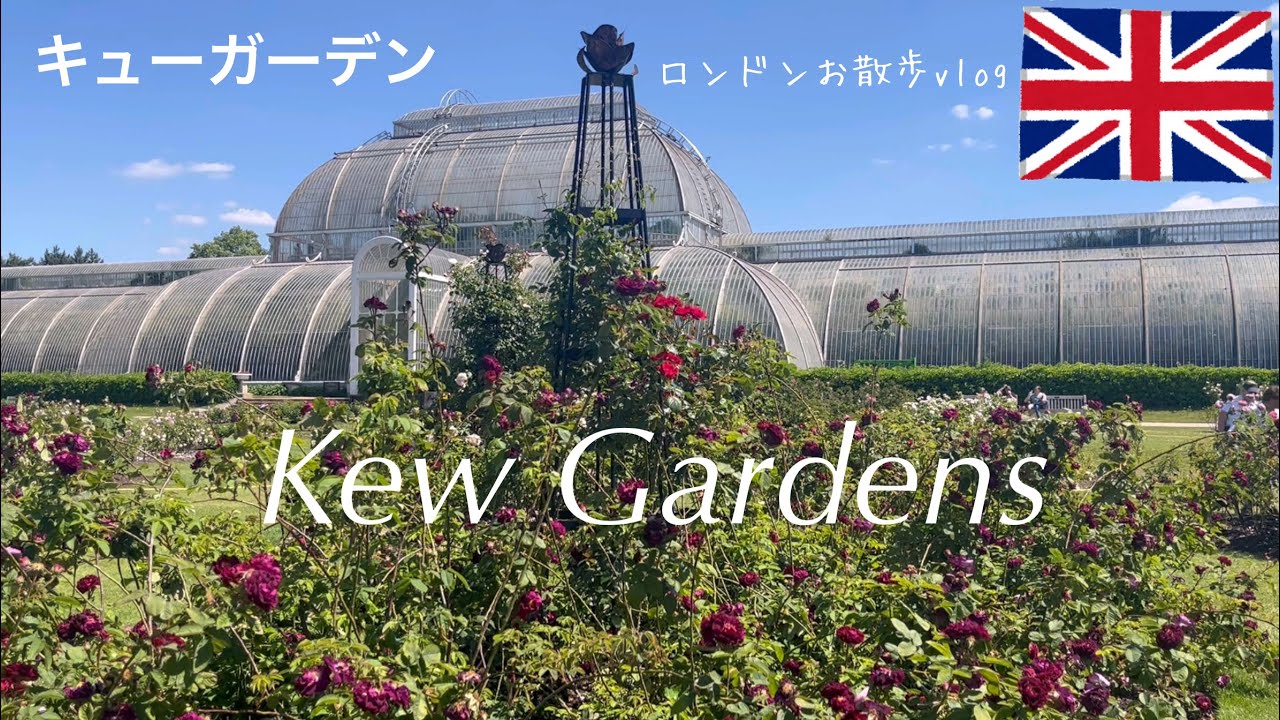 夏のキューガーデン/ベストシーズン/ロンドン市内の王立植物園/Kew Gardens/バラ園/パームハウス/ジャパニーズゾーン/世界遺産