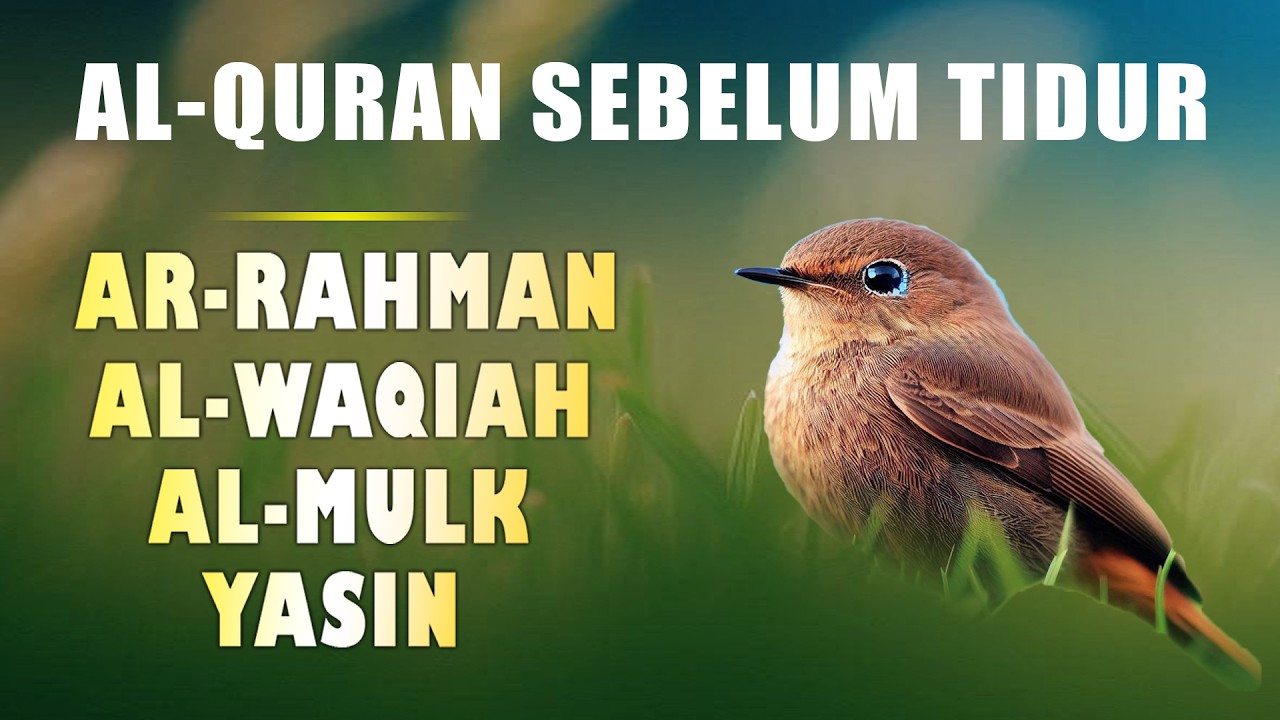 Al Quran Sebelum Tidur | Surat Rahman,Waqiah,Mulk  Yasin | Bacam Al Quran | Muhammad Hizaji