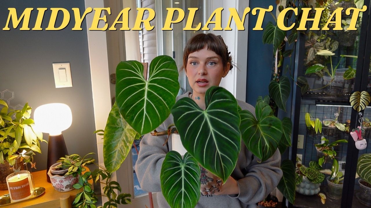 mid-year plant tag 🌿🕯️☕️  what's going well, struggles, plans, etc!