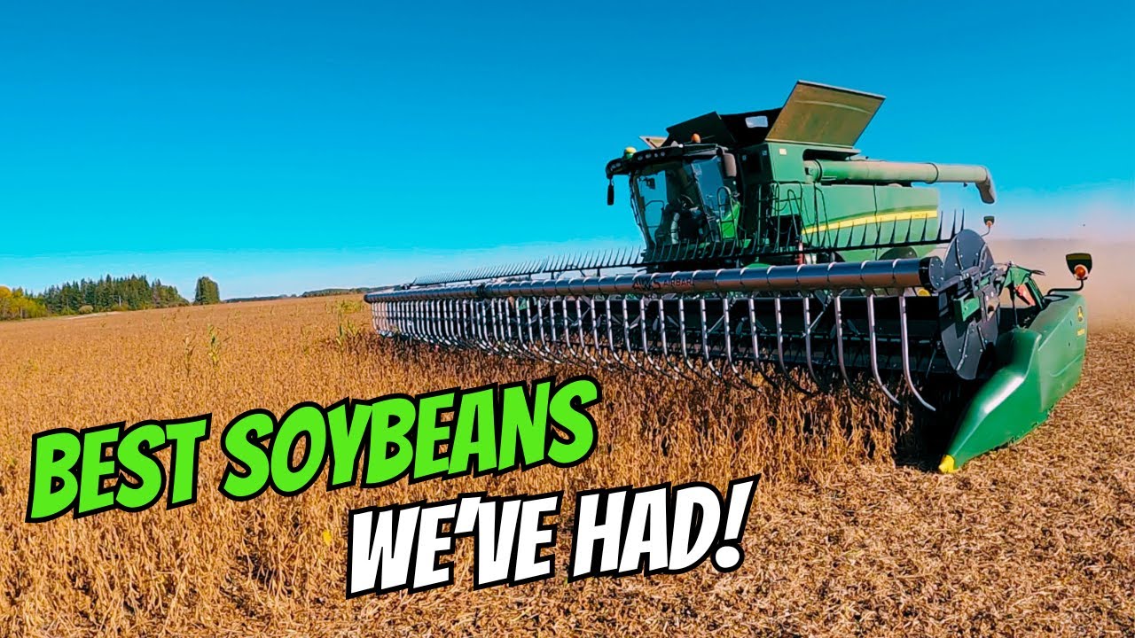 And So It Begins! Harvesting Soybeans!!