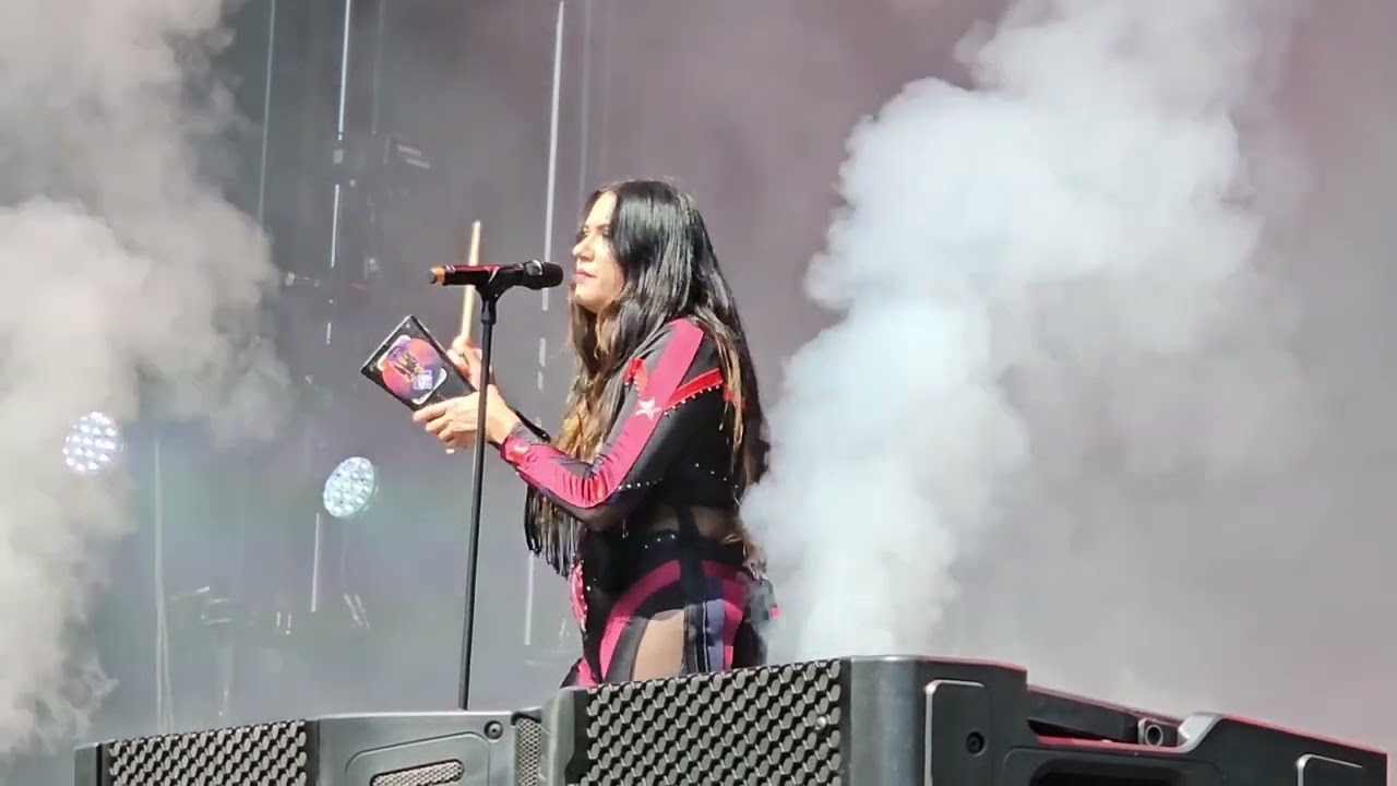 The Gems - Domino live at Skogsröjet 2024