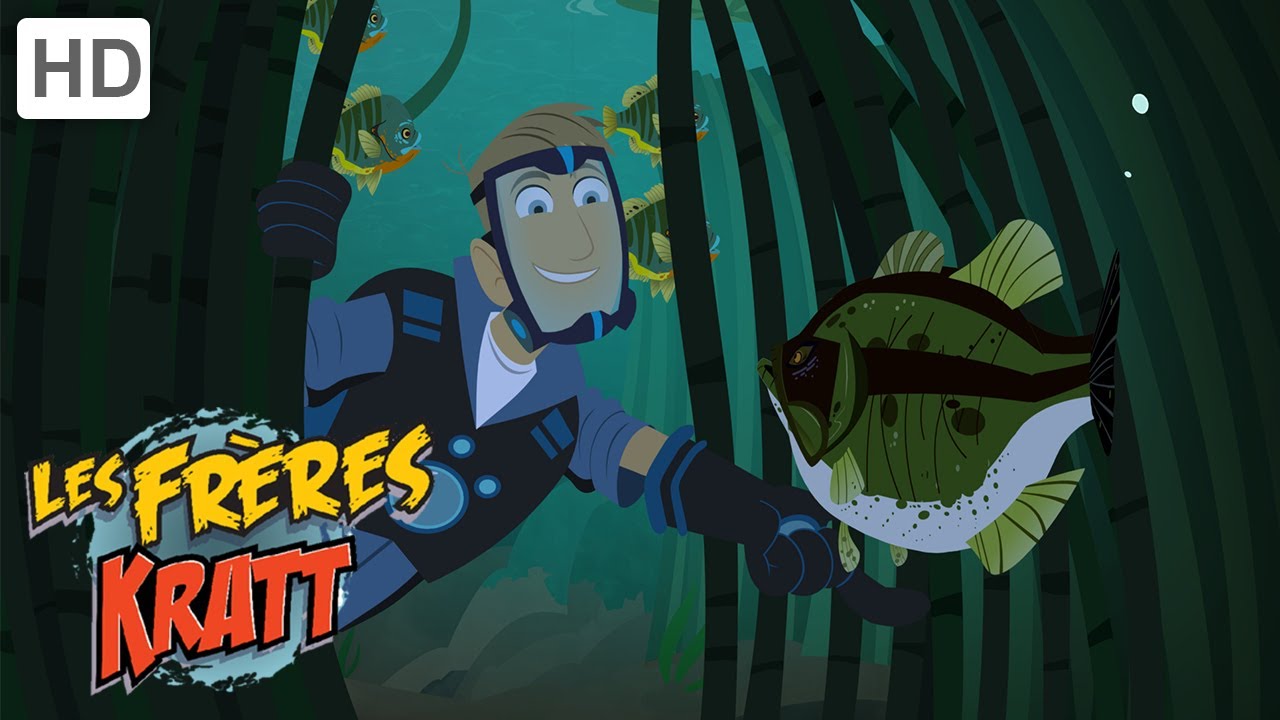 Les Frères Kratt |Classe De Basse| Saison 1