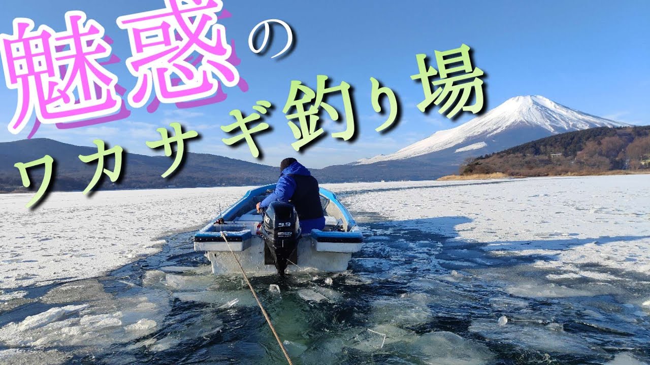 【ワカサギ釣り】知らなきゃ損！爆釣する超穴場な釣り場！【山中湖】