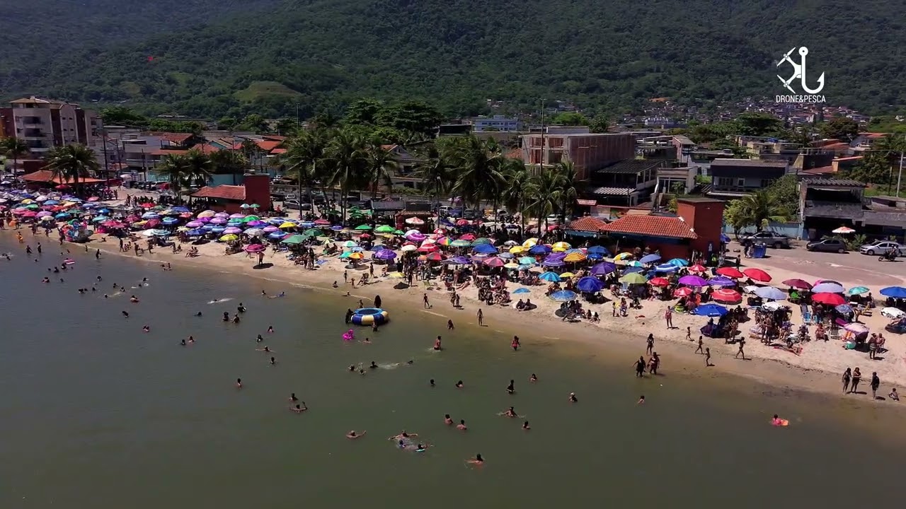 MURIQUI - 