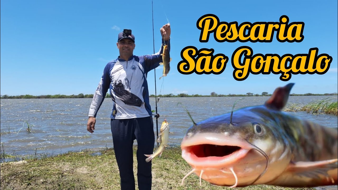 Pescaria embarcando canal São Gonçalo