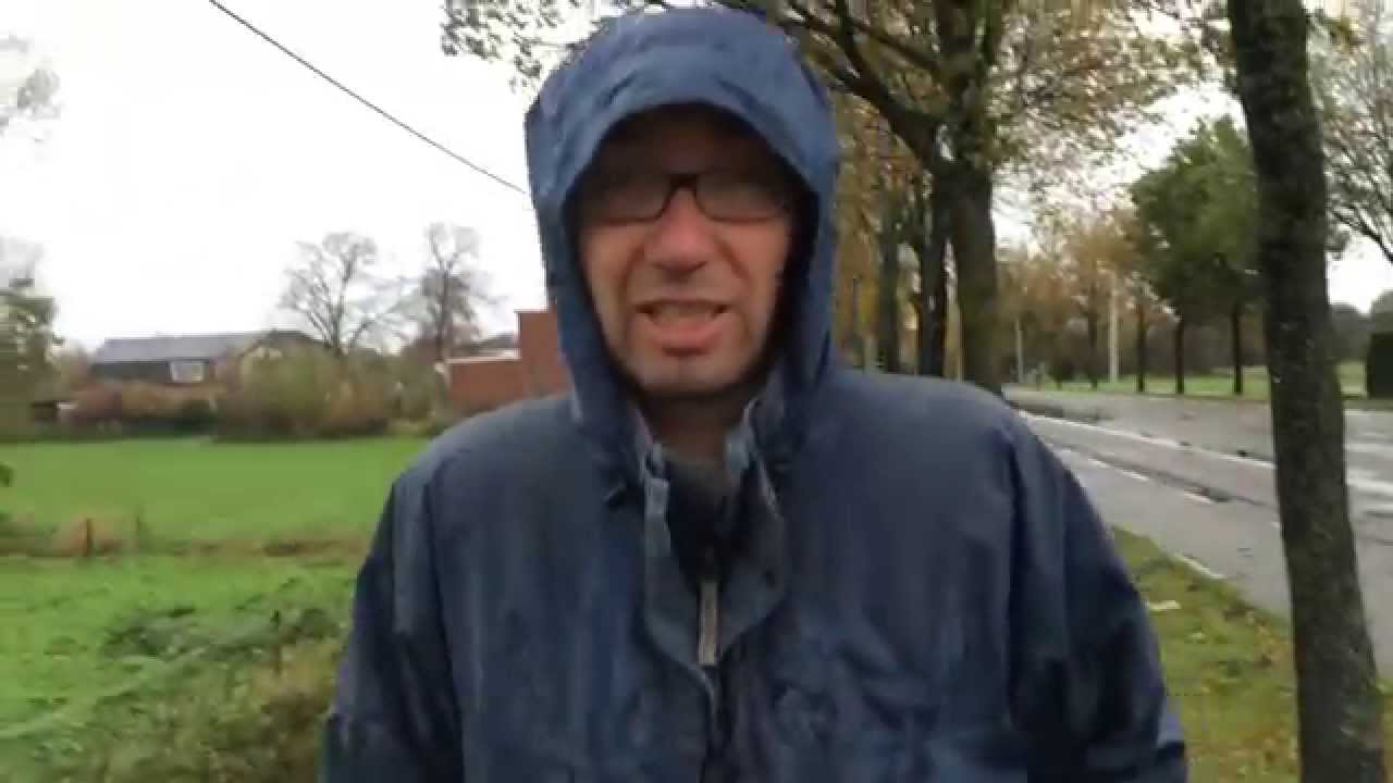 laatste krokussen planten