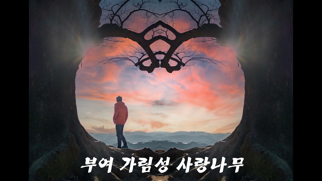 성흥산 사랑나무 , 부여가림성