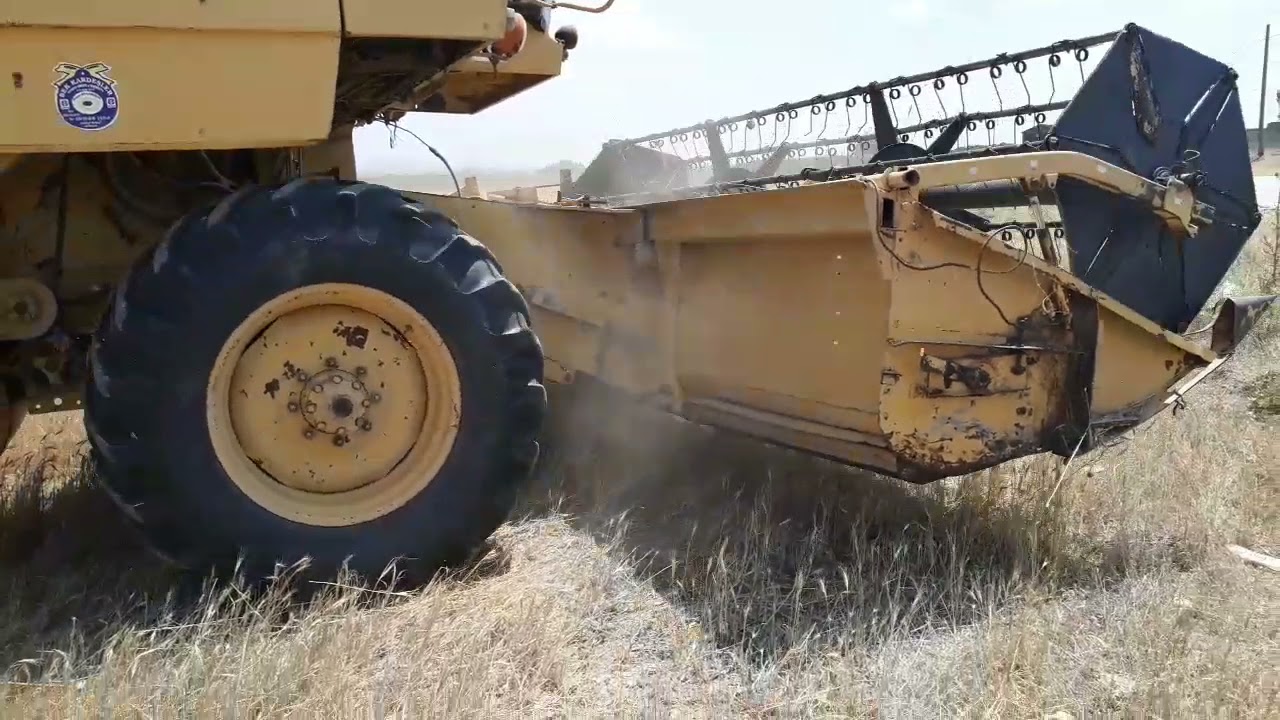 New Holland 8040 Tritikale hasadı