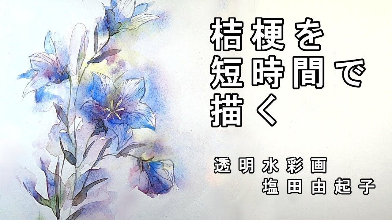 【透明水彩画】桔梗を短時間で描く