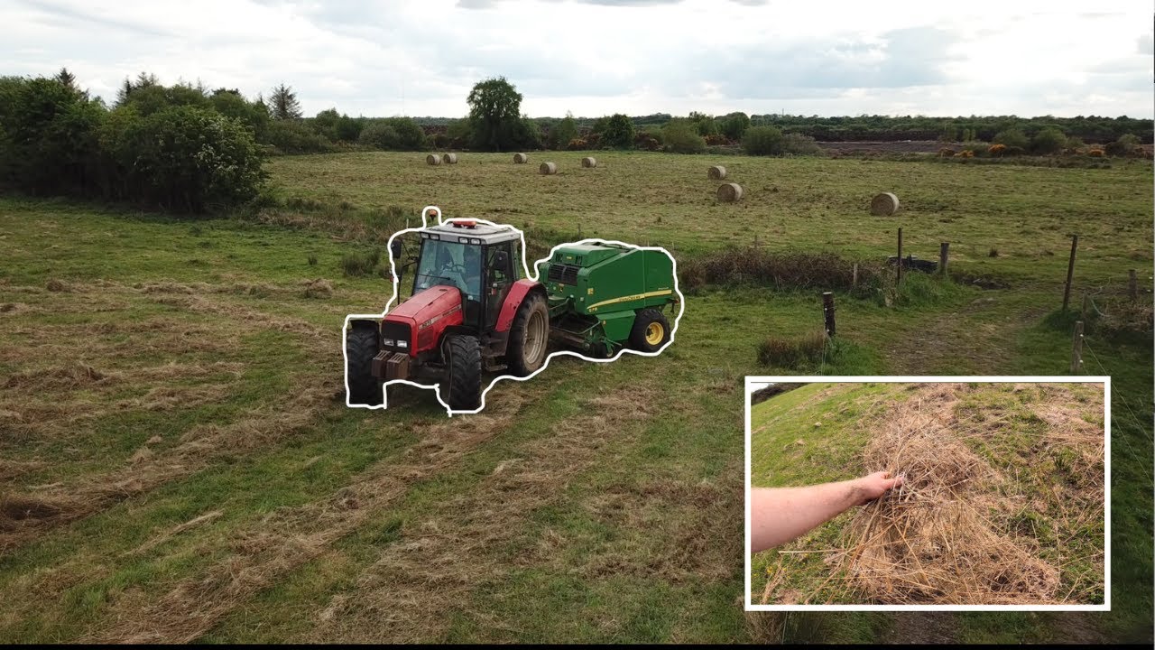 BALLING RUSHES WHAT MORE CAN I SAY + OLIGHT FLASH SALE