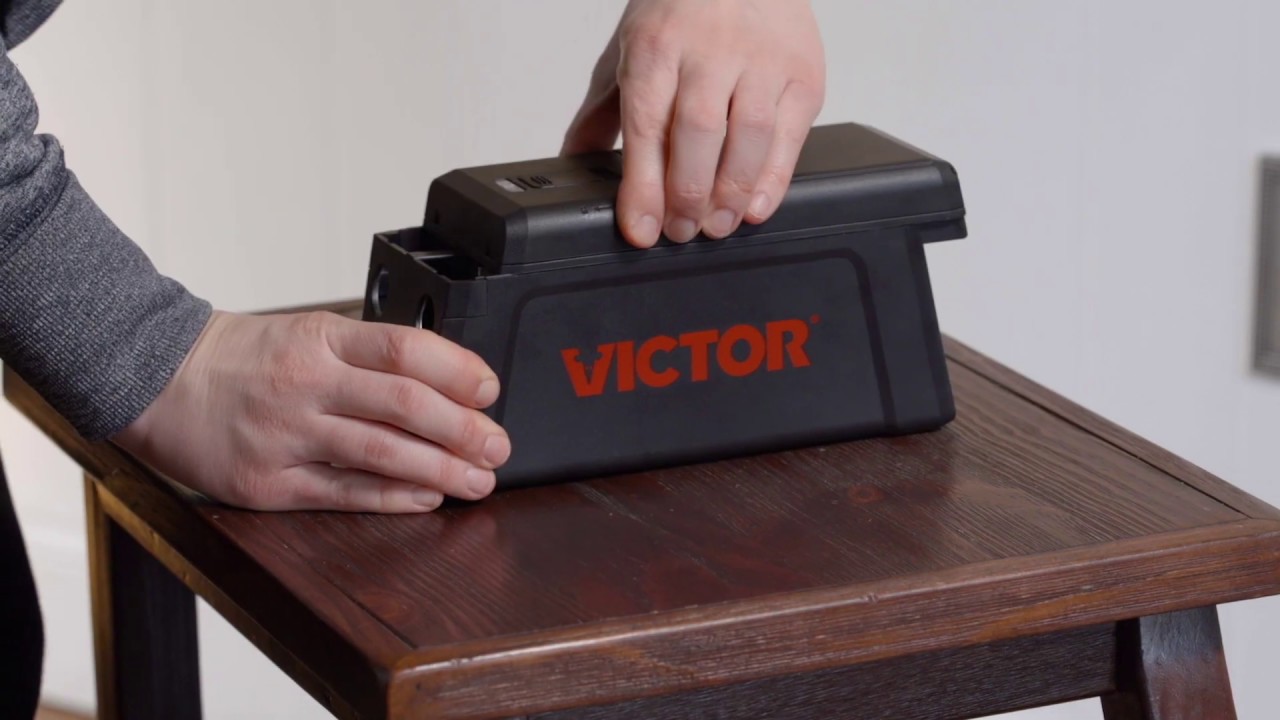 How to Use the Victor&reg; Electronic Rat Trap