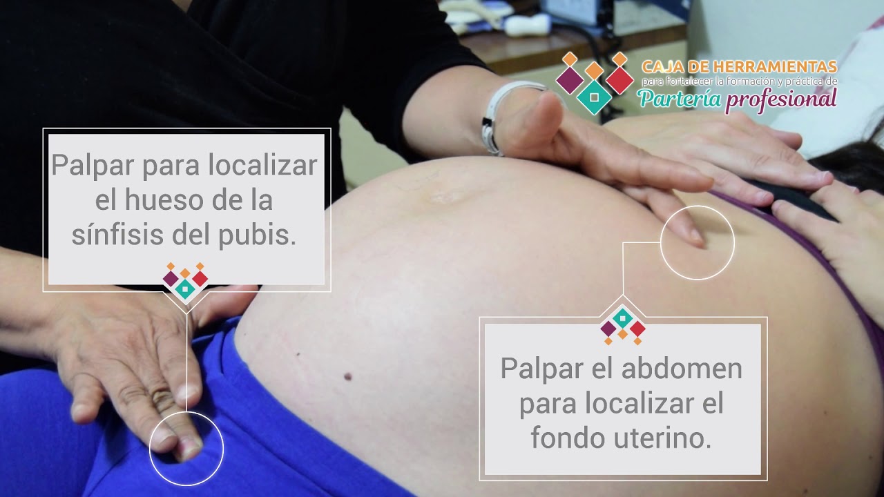 Medición del fondo uterino - Técnica de partería