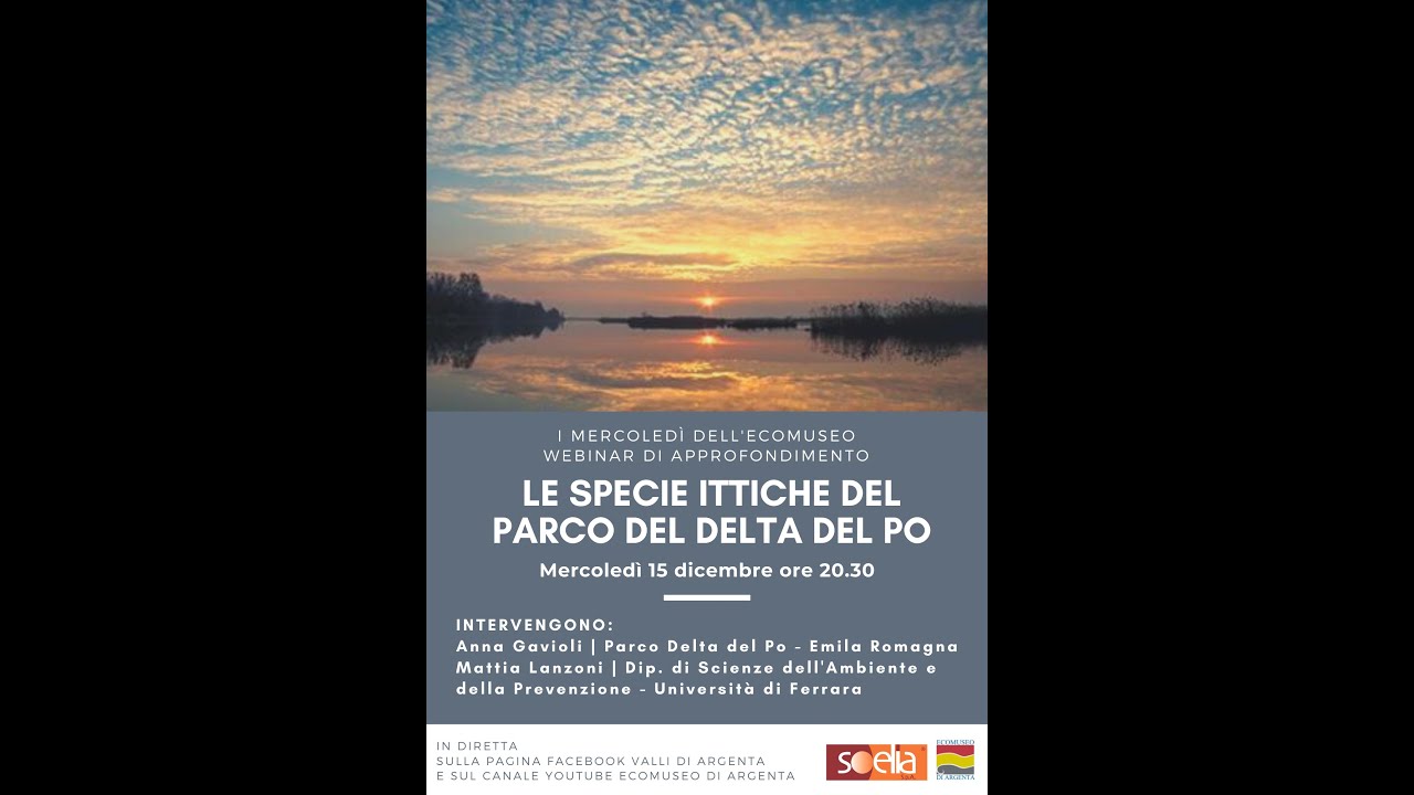 Le specie ittiche del Parco del Delta del Po